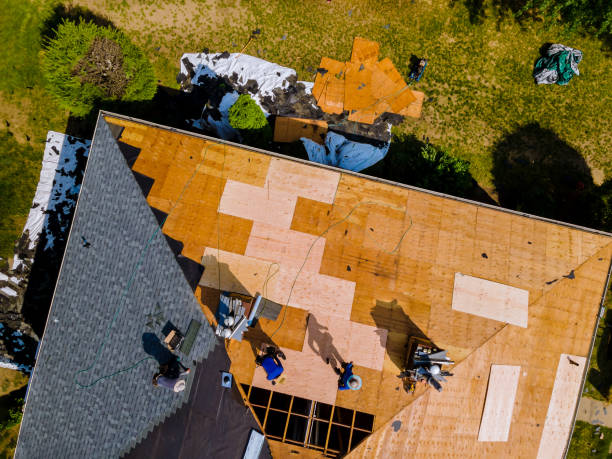 Best Roof Maintenance Services  in Amador Pines, CA