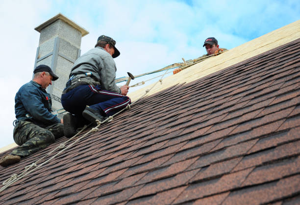Best Roof Leak Repair  in Amador Pines, CA